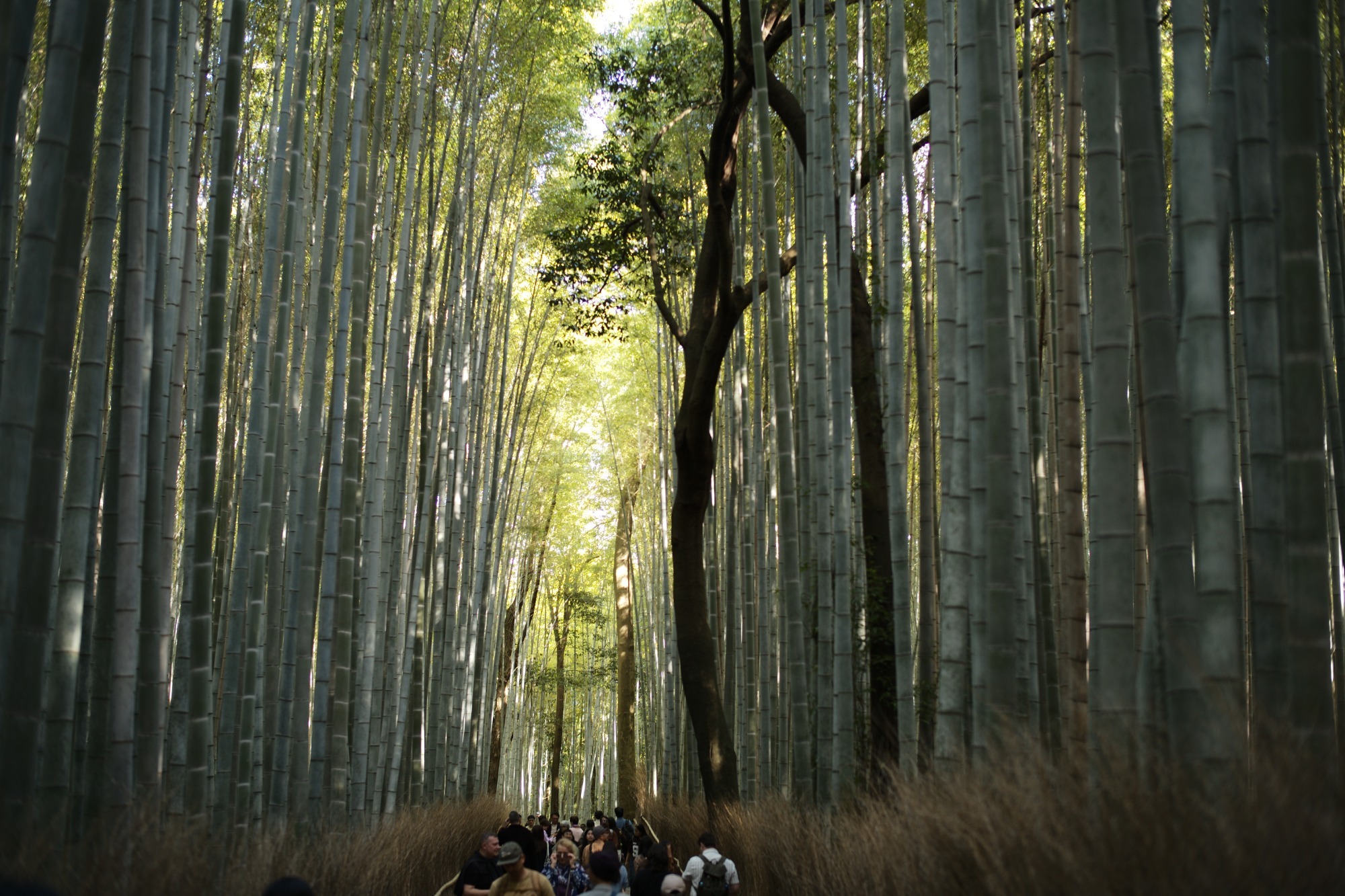 本社 工務部 S.N.（2022年入社）